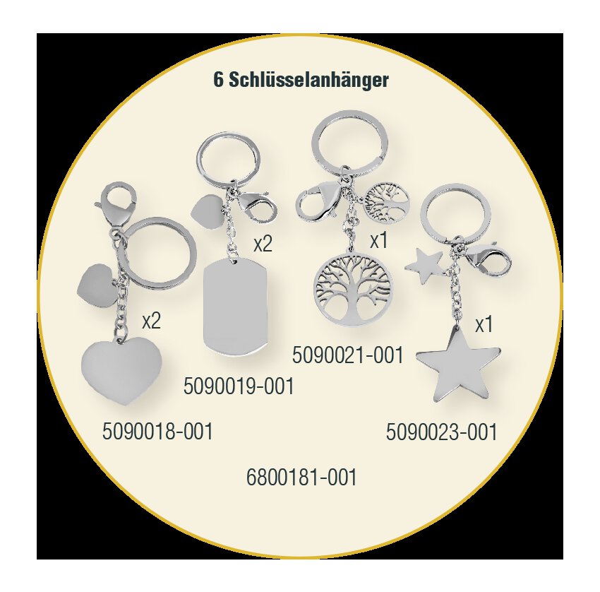 Set van 6 roestvrijstalen sleutelhangers
