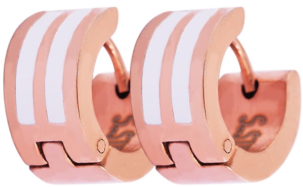 Accent roestvrijstalen scharnierende hoepel oorbellen, IP roségoud, zilverkleurig