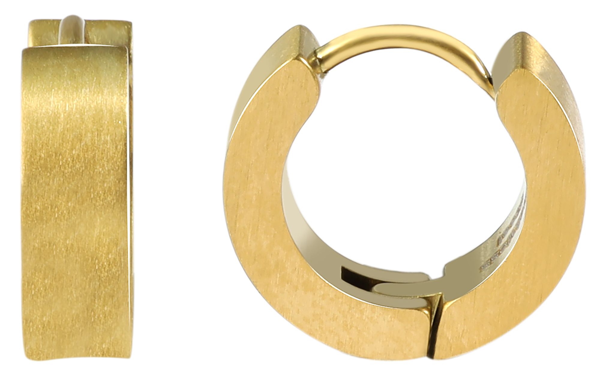 "Erik" accent oorbellen van roestvrij staal met scharnier in goudkleur